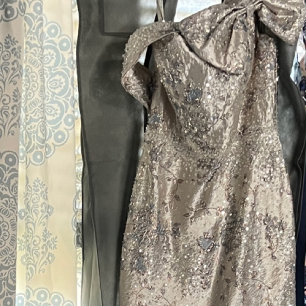 Rina diMontella Silver Embellished Gown